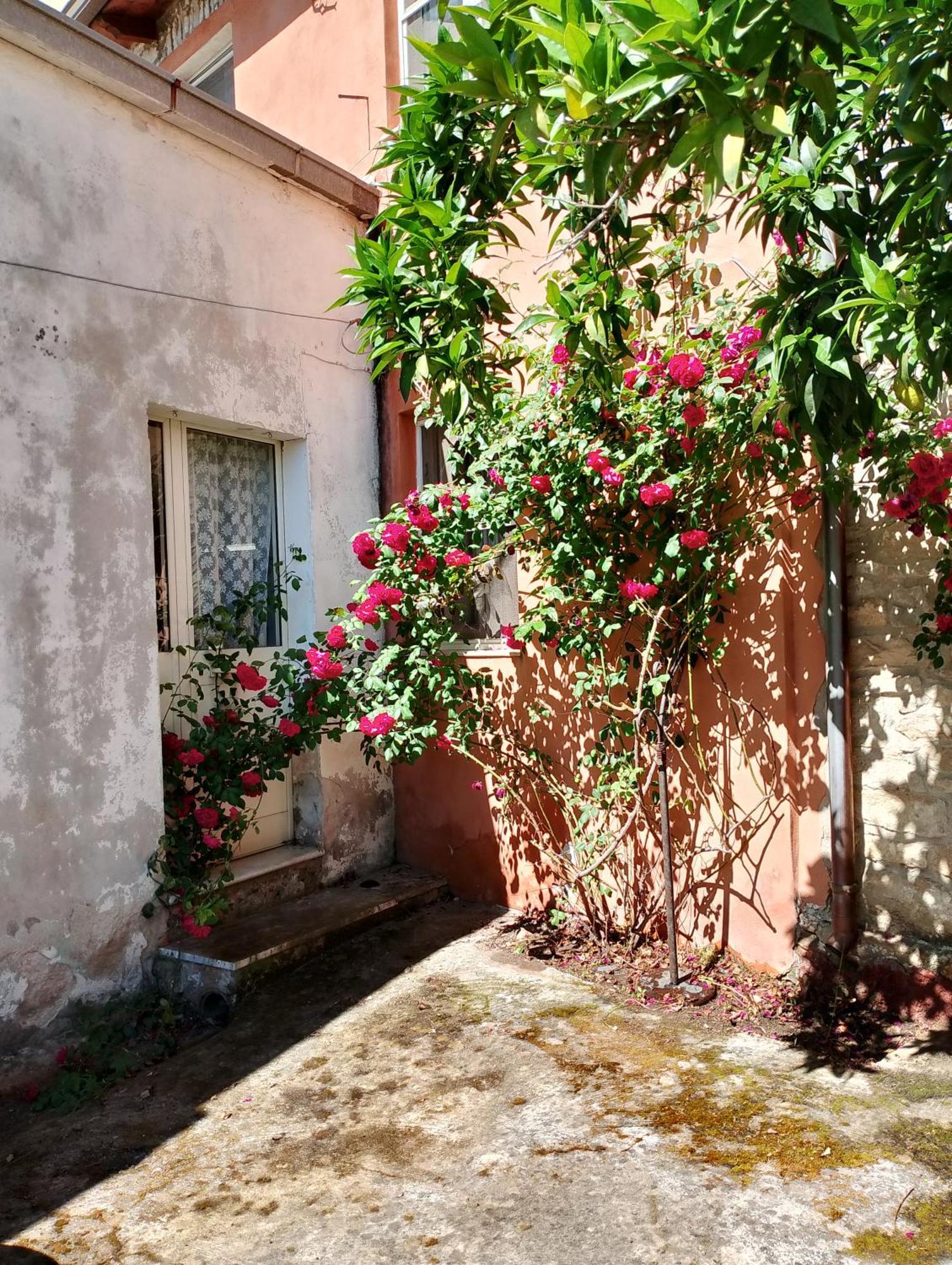 La Corte Degli Aranci Senorbi Extérieur photo